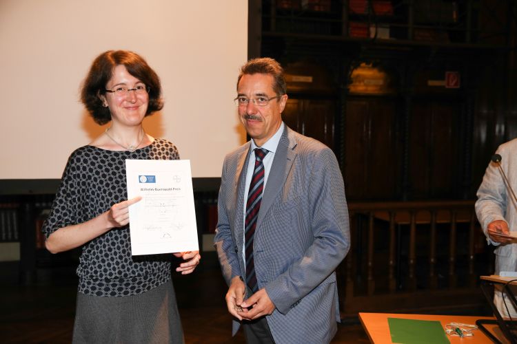 What is a dissertation image